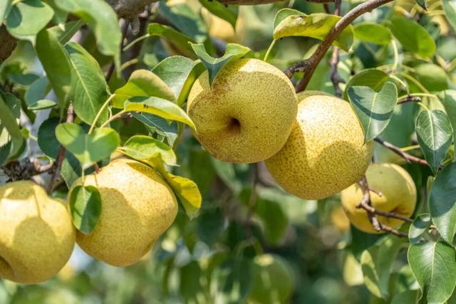 1元的包子，4块钱的蒸饺，这座城给人的幸福感怎么能这么高啊！