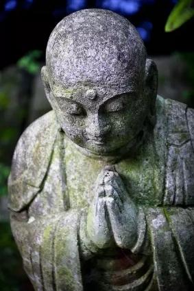 人生如白驹过隙的完整句（南山老僧的告诫人生如白驹过隙）