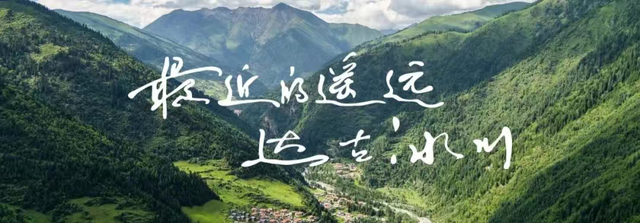 暑期带娃，一场自然与科学的启蒙之旅