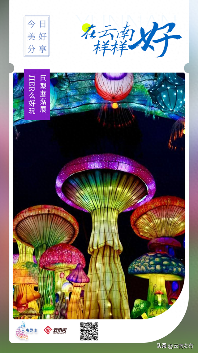昆明巨型蘑菇展“太滇了”！
