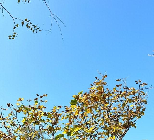 昨晚大乐透4注一等奖落地区域+奖金公布，这个反转太惊喜