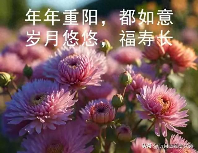 性付宝官网下载地址（九九重阳节祝福久久）