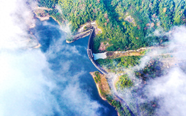 薄雾轻笼 如梦如幻