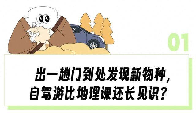 围观牦牛打架、路上捡玛瑙，打工人国庆自驾去新疆兴奋得像个“城巴佬”
