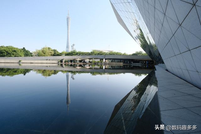 广州一年四季这景点都有花海，绝美赏景地