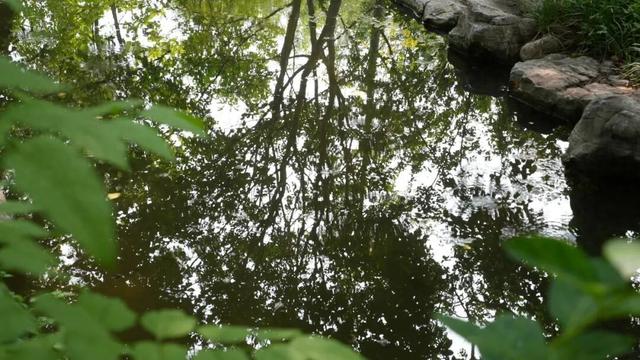 发现曲阜宝藏地！海棠小镇“村中有园”，沉浸式度假超爽