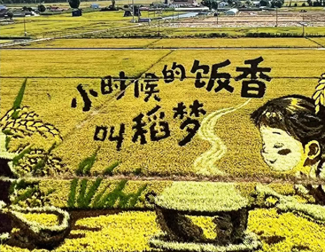 【假期推荐】假期最后两天，在这片金色田园打卡沈阳秋日最佳出片胜地