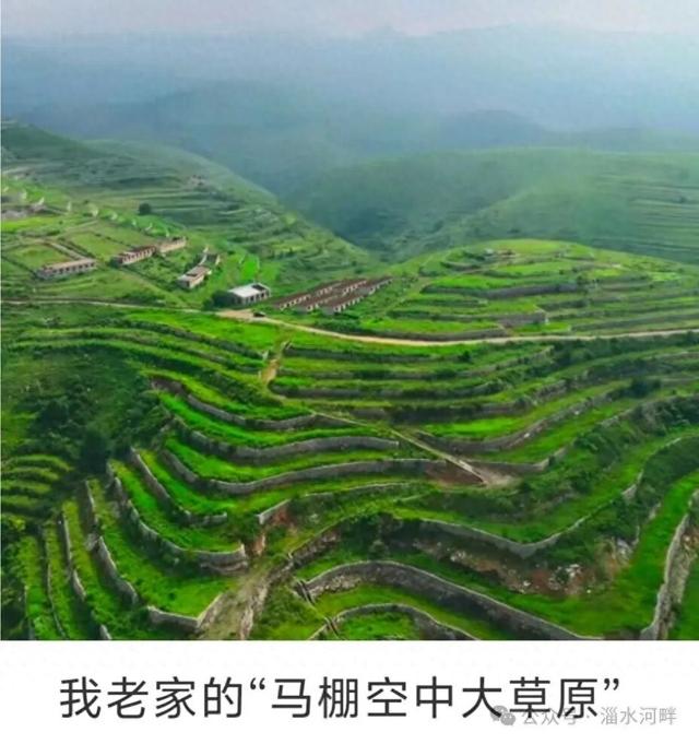 “老家”追忆杂记之四—— 我的“岭西大草原”（上）