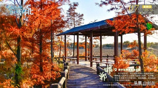 这么近 那么美 周末到河北——邯郸·肥乡区凤湖湿地公园