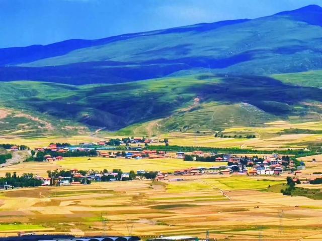 我愿称之为高原 “ 最盛大的秋景 ” ！