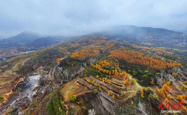 雾锁金秋！浑源“探岳之旅”线路，云雾裹着金黄落叶松宛如“水墨丹青”