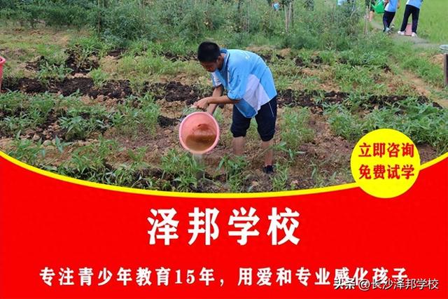 戒网瘾最好的学校（全国戒网瘾学校十大排名）