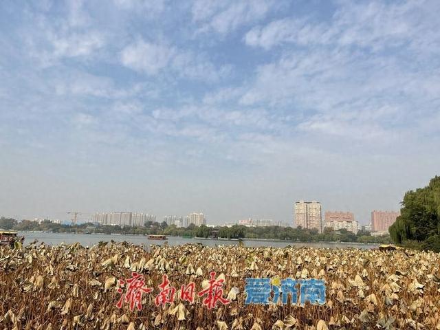 层林尽染入眼皆画 大明湖的初冬“皮肤”已上线