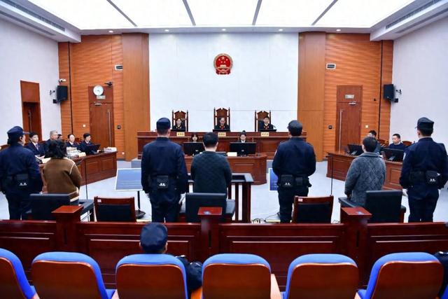 驳回上诉 维持原判！“罗大美	”案今天二审当庭宣判