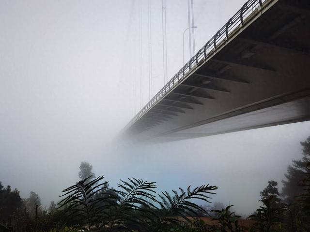 龙江大桥吟：龙江大桥晨雾漫 大桥雄恣令人叹