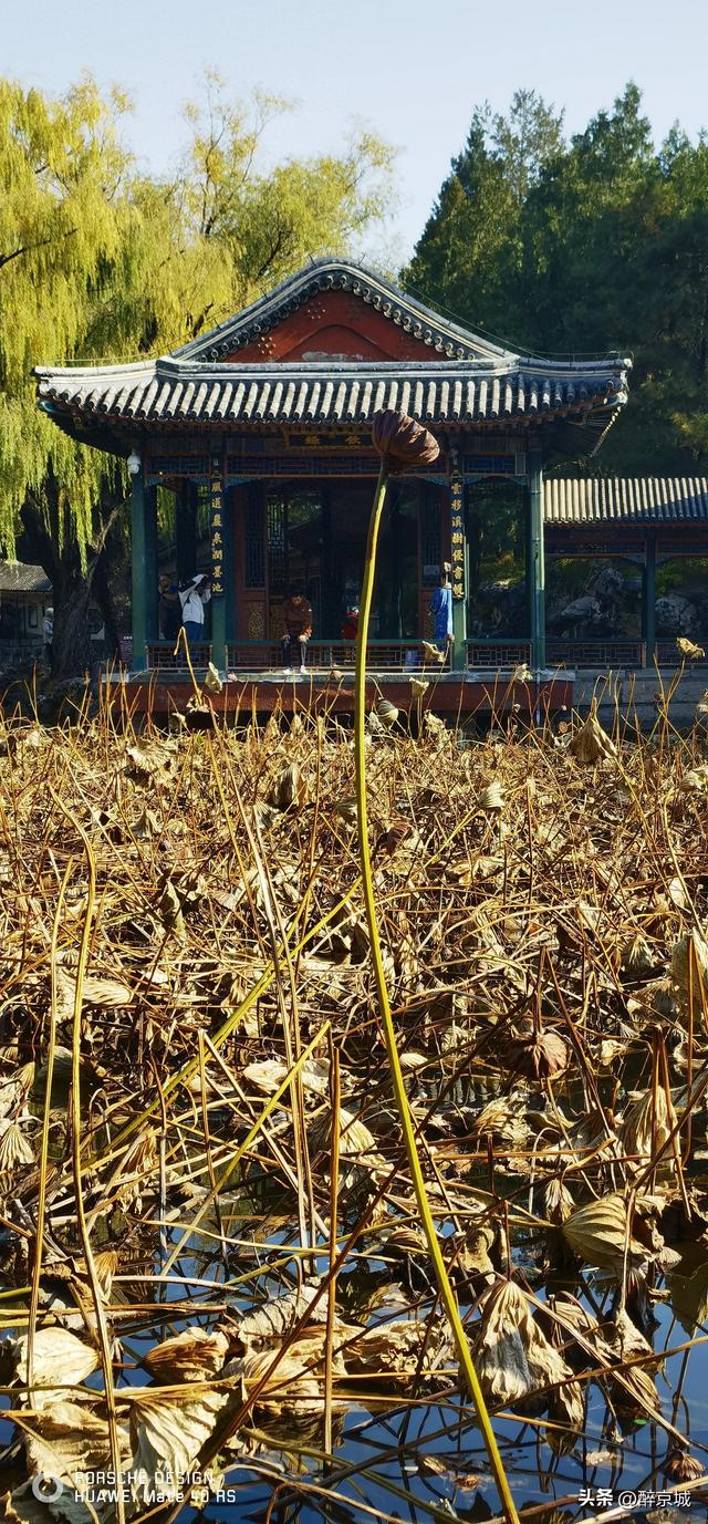 颐和园的枫叶红了