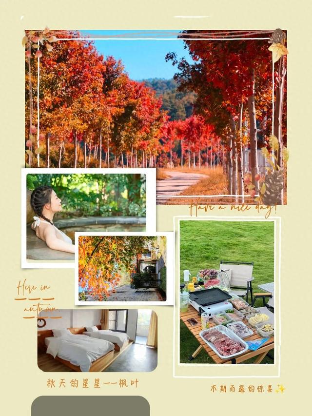 沉浸式感受韶关新丰绝美秋色！ 2天1夜赏枫露营品美食，徒步泡温泉，一起去躺平 ！