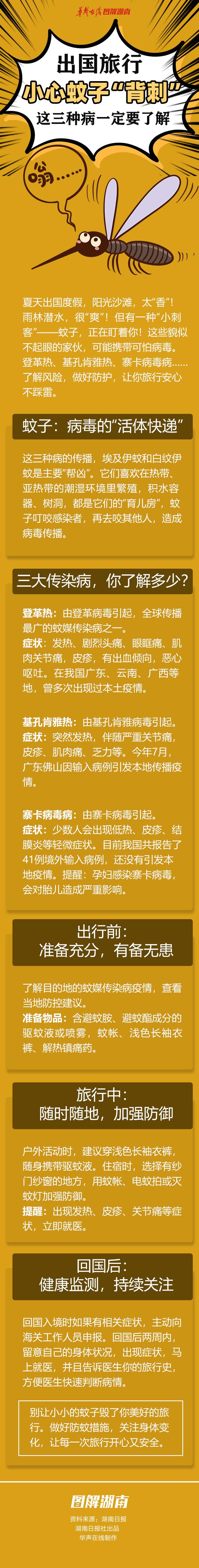 图解│出国旅行，小心蚊子“背刺”！这三种病一定要了解