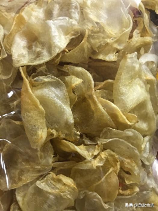 花胶跟鸡蛋胶区别 花胶跟鸡蛋胶区别是什么 花胶跟鸡蛋胶区别 花胶跟鸡蛋胶区别是什么