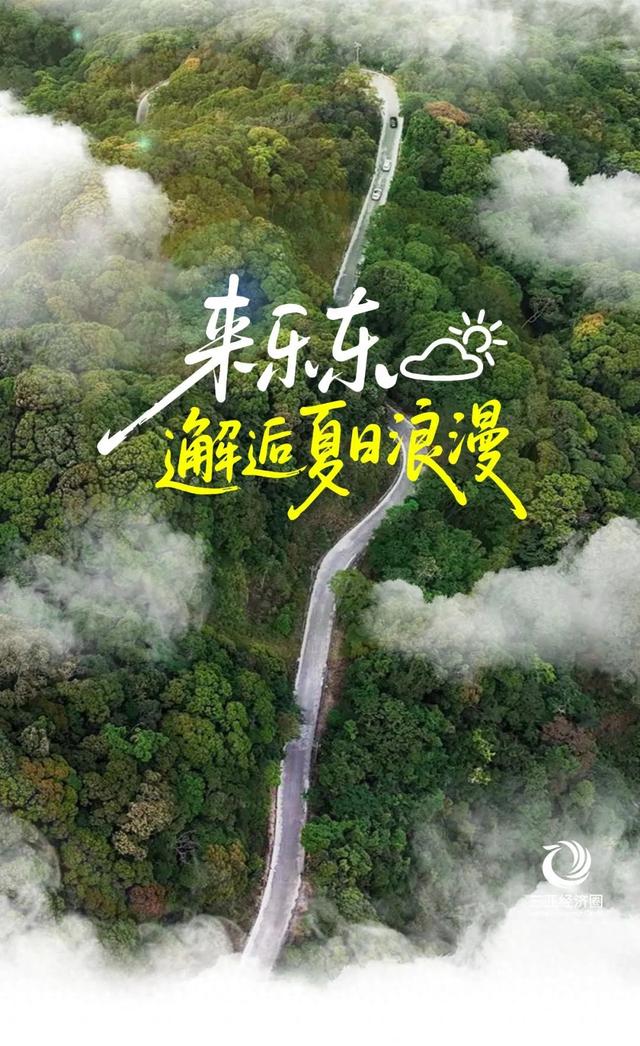 乐东有自己的夏日美学🤩