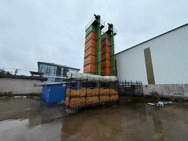 与秋雨“抢粮	”	，河南玉米的烘干故事