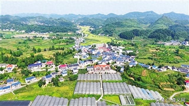 遵义市播州区花茂村：花繁叶茂的绿色脉络