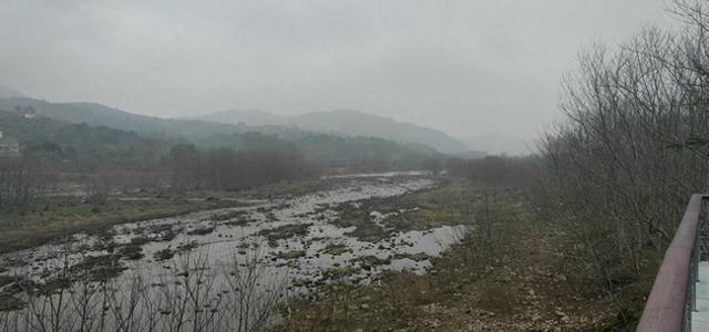 荒废滩林变身“金滩银林” 瑞安这个村让旅游流量变留量