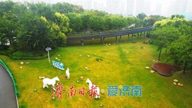 济南茂岭山公园：雨后秋景如画 市民邂逅清新诗意