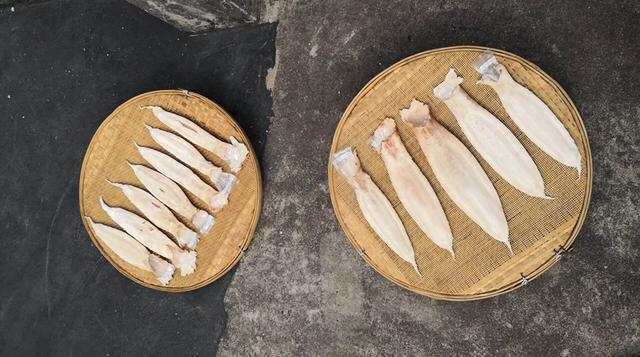 鲜鱼制作花胶 2026年鲜鱼制作花胶视频