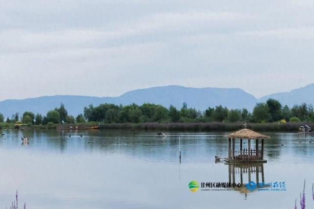 甘州：黑河湿地孕育的“生态甘州”