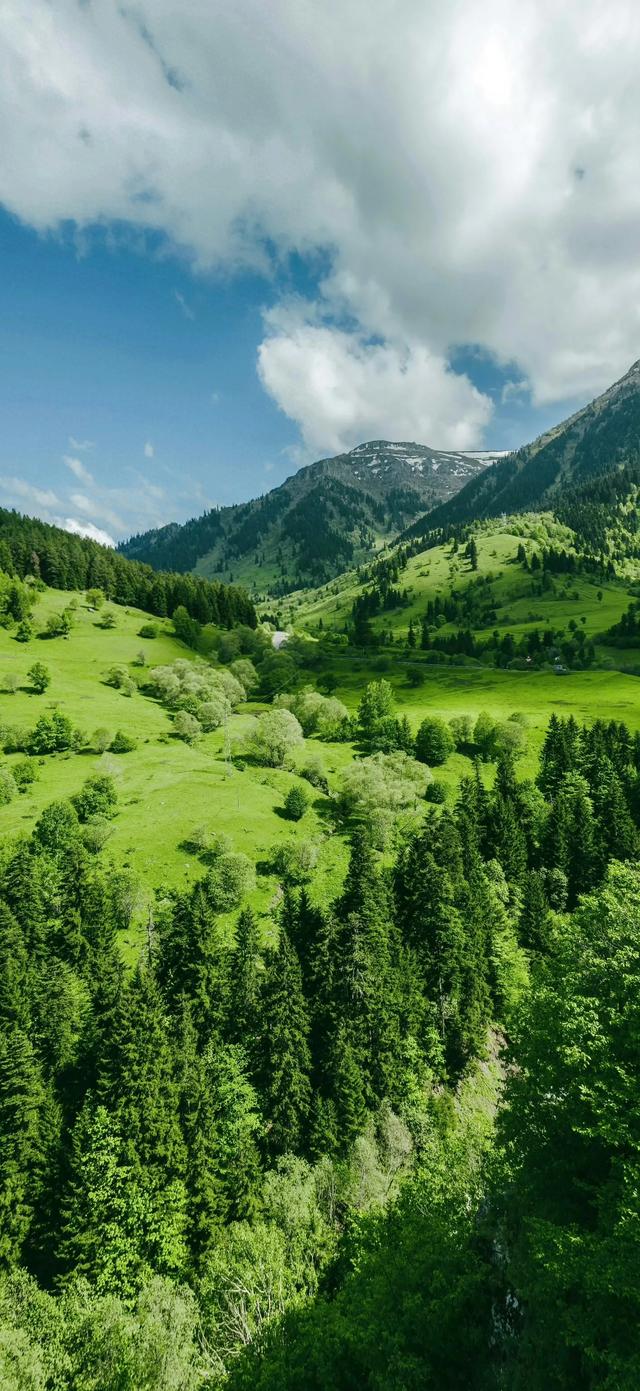 手机壁纸|风景