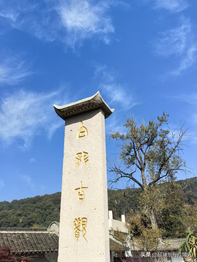 常州城东横山桥白龙观 冬日菊花节 采菊东篱下，悠然见横山