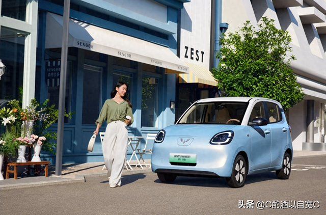 穿梭于烟火气中的小精灵：我的五菱宏光MINIEV购车记