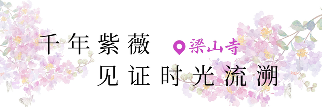 剑门关夏日壁纸上新！满屏生命力随手即拍~