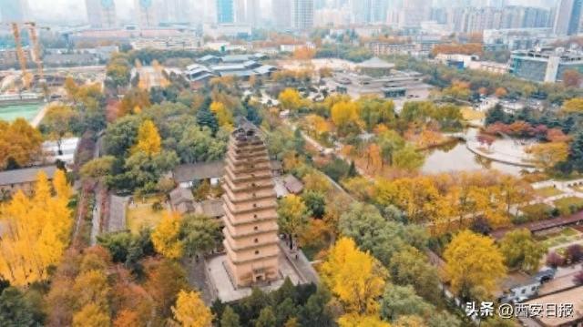 一座静立的塔，一首千年的诗，和一个愿意停下脚步、侧耳倾听的人——这就是文化传承最美妙的方式