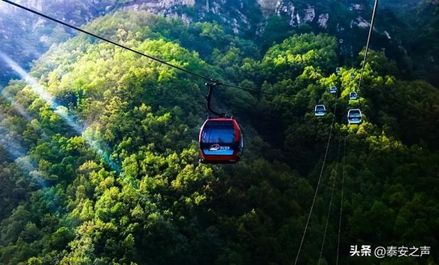 别跑空！这两处泰山索道将暂停运营，时间看这里→
