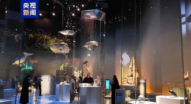 探访阿布扎比自然历史博物馆 一个关于“爱”的故事