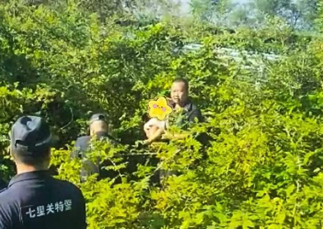 贵州2岁半男童家门口走失3天后，在3公里外高速路旁隐蔽灌木丛中被发现，警方：找到时他蜷缩着，轻微脱水