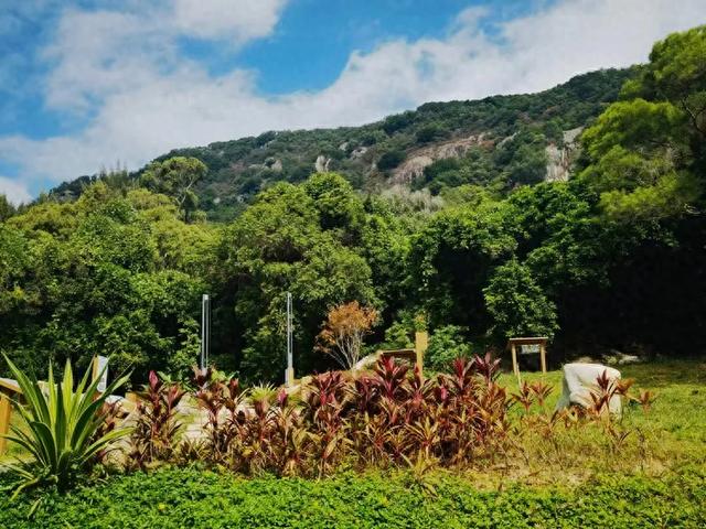 “若得一日闲 山中品千年” 游泉州清源山