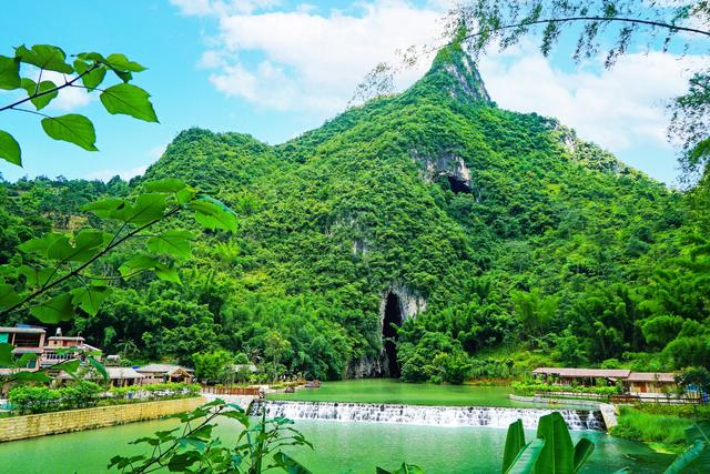 “桃源使者”杨丽枫：扎根柔软坝美，打造灵魂栖息地