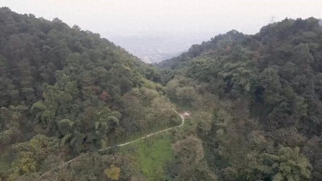 重庆南山被遗忘的千年古道，曾是重庆出川重要通道，如今成为秘境