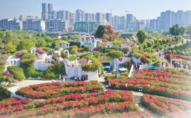 藏不住了，广西这座城市的冬天“开挂”了！