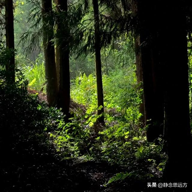 在贵州贵阳白云区的群山里，藏着一个被外界遗忘的山村，靛山村