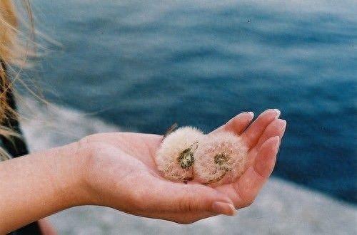 有一种爱，叫做默默守护