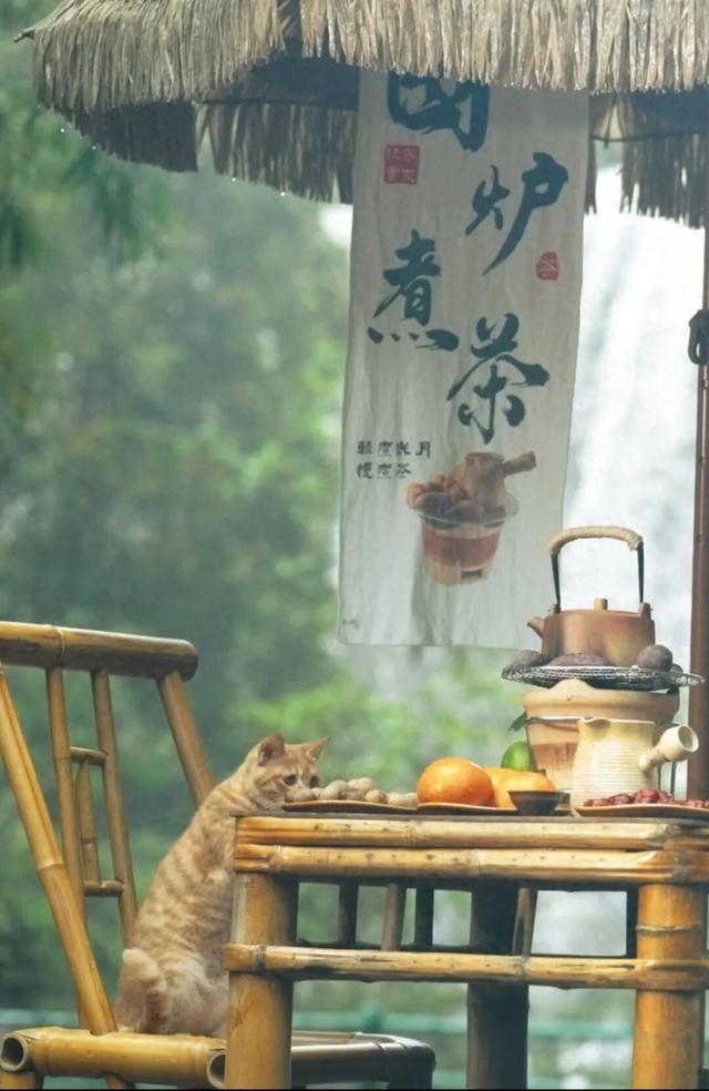 跟着赛事游遵义 | 冬季文旅“四件套”之围炉！赤水不止茶，还有更多新玩法……