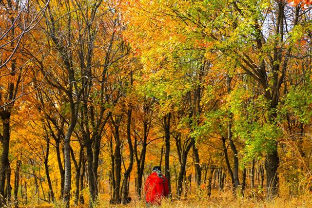 泗水县万紫千红旅游区：静谧而斑斓的生态画卷