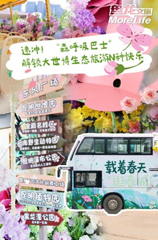 速冲！“森呼吸巴士”解锁大世博生态旅游N种快乐