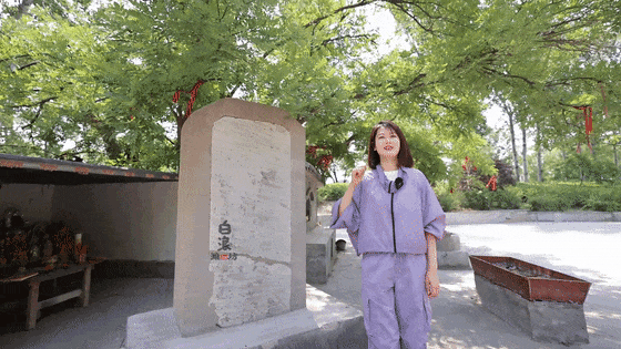 “潍坊白浪”溯源之旅｜白浪河沿岸探寻龙爪树的秘密