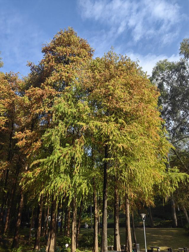 生活不易，且行且珍惜