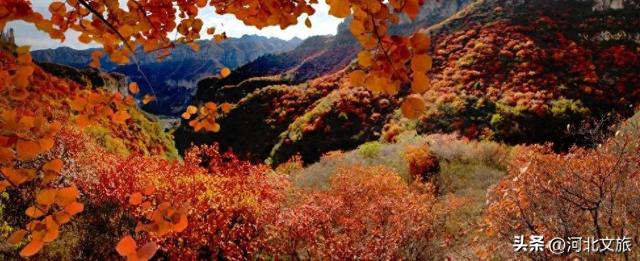 秋意正浓！是时候来石家庄平山开启一场秋日徒步了